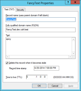 dns-txt-aging-details-timestamp