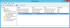 dns-txt-aging-static