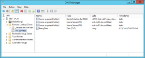 dns-txt-aging-timestamp