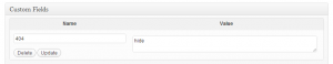 Wordpress Custom Fields Metadata 404 Hide